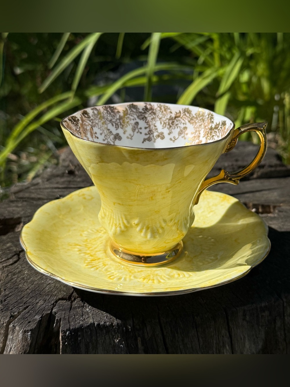Royal Albert Yellow Gossamer Teacup and Saucer Set Vintage Bone China
